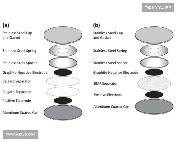 从哲学思想到学术评选浅析大卫路易斯落选背后的多重原因