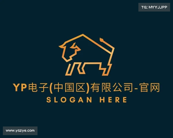 发现yp电子(中国区)有限公司-官网